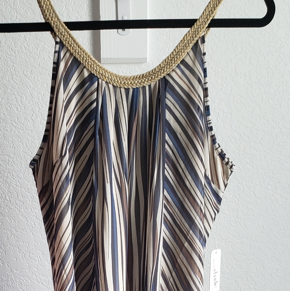 NWT Zebraesk Stripe Maxi